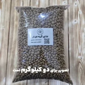 غذای خشک گربه بالغ فیدار