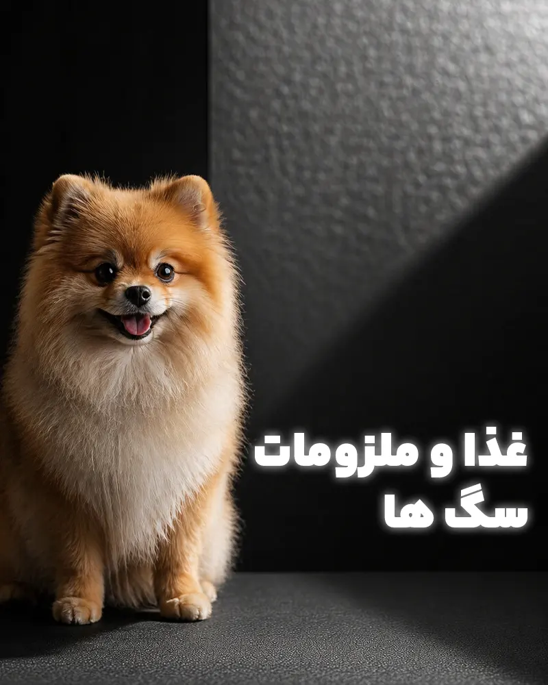dogs banner 1