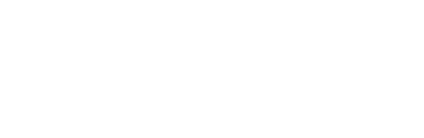 پت اصلی